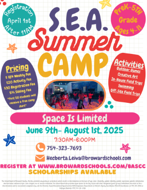  Sea Summer Flyer